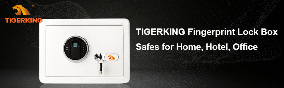 TIGERKING Small Closet Safe With Fingerprint Mini Home Safes